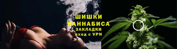стаф Осинники