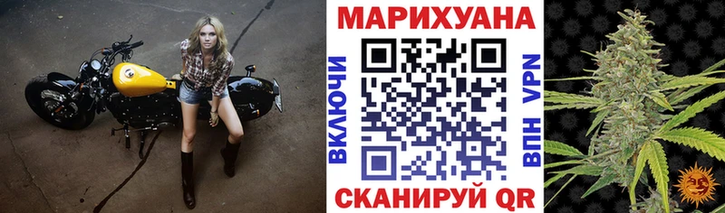 Конопля гибрид  Дудинка 